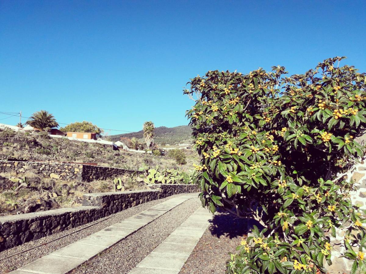 Sea And Mountain View Apartment Los Llanos De Aridane Bagian luar foto